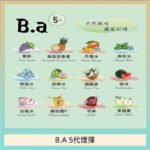 B.A 5代主機煙彈電子煙一盒三顆