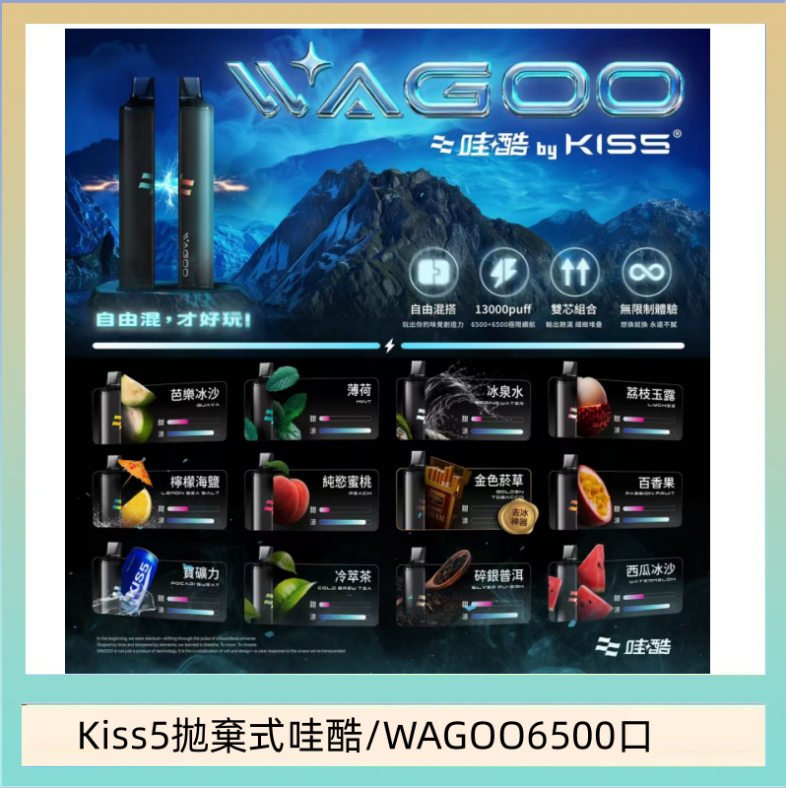 Kis5 6500 WAGOO哇酷Kiss5 6500口拋棄式 | 自由混搭雙口味 | 雙芯組合
